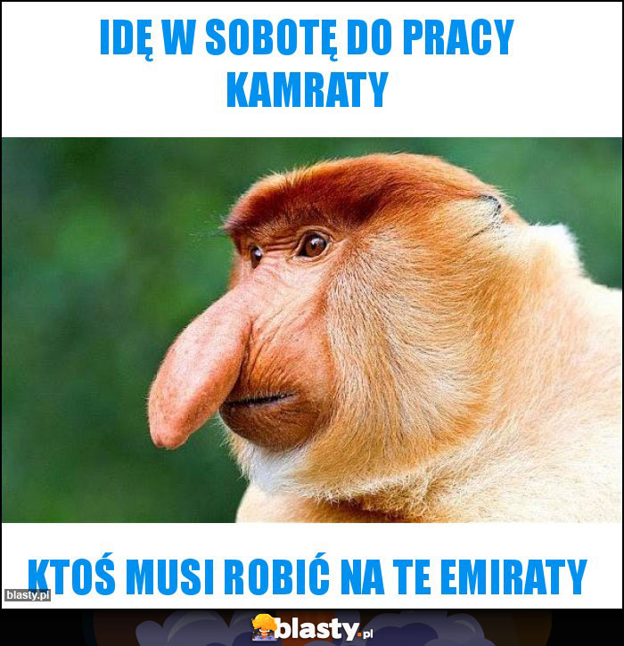 Idę w sobotę do pracy kamraty