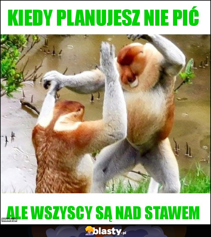 Kiedy planujesz nie pić