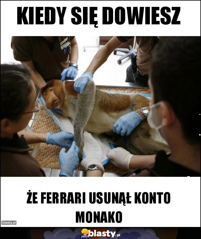 Kiedy się dowiesz