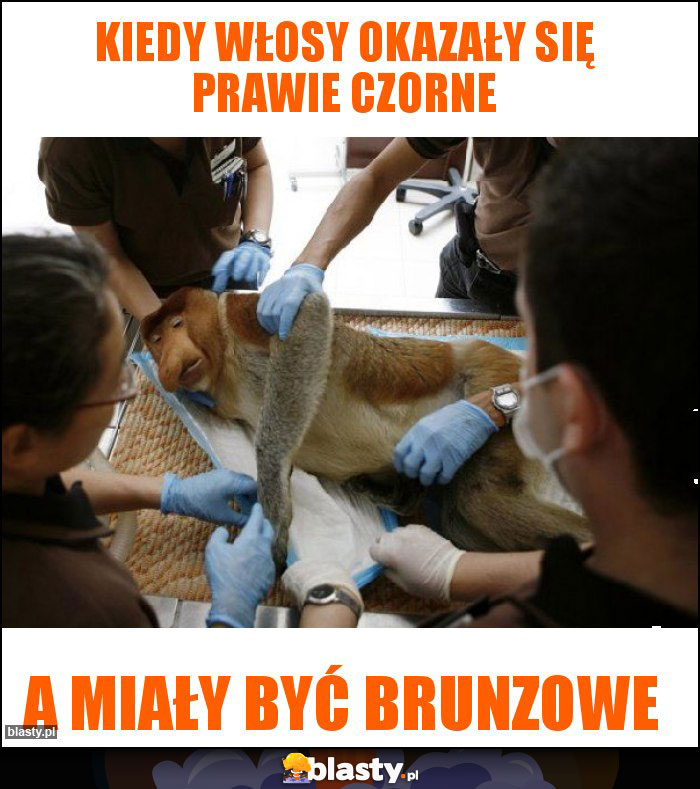 Kiedy włosy okazały się prawie czorne