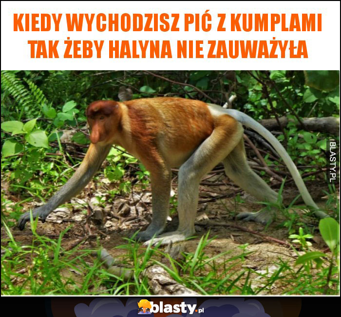 kiedy wychodzisz pić z kumplami tak żeby halyna nie zauważyła