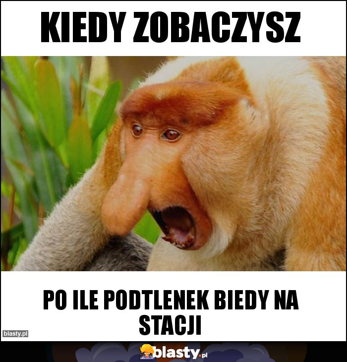 Kiedy zobaczysz