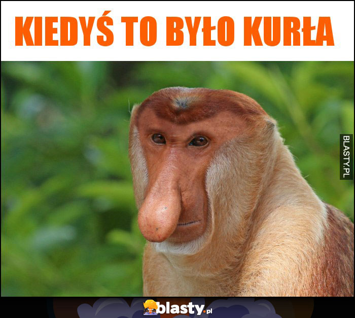 kiedyś to było kurła