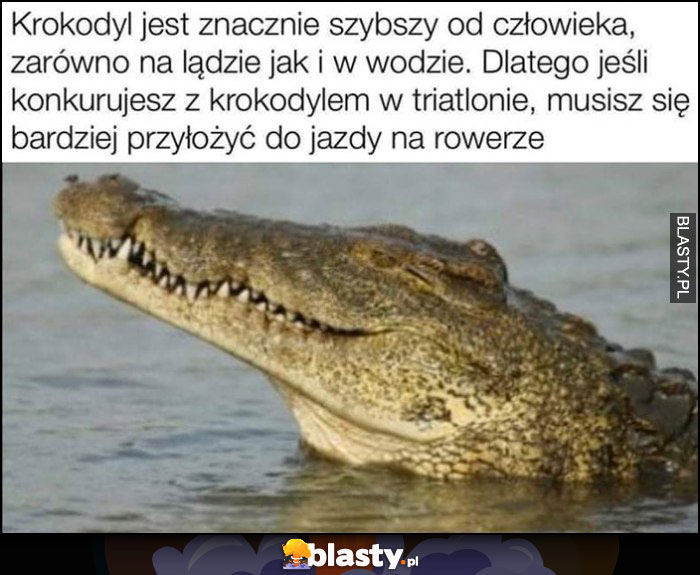 Krokodyl jest szybszy od człowieka na lądzie i w wodzie, jesli konkurujesz z krokodylem w triathlonie musisz się bardziej przyłożyć do jazdy na rowerze