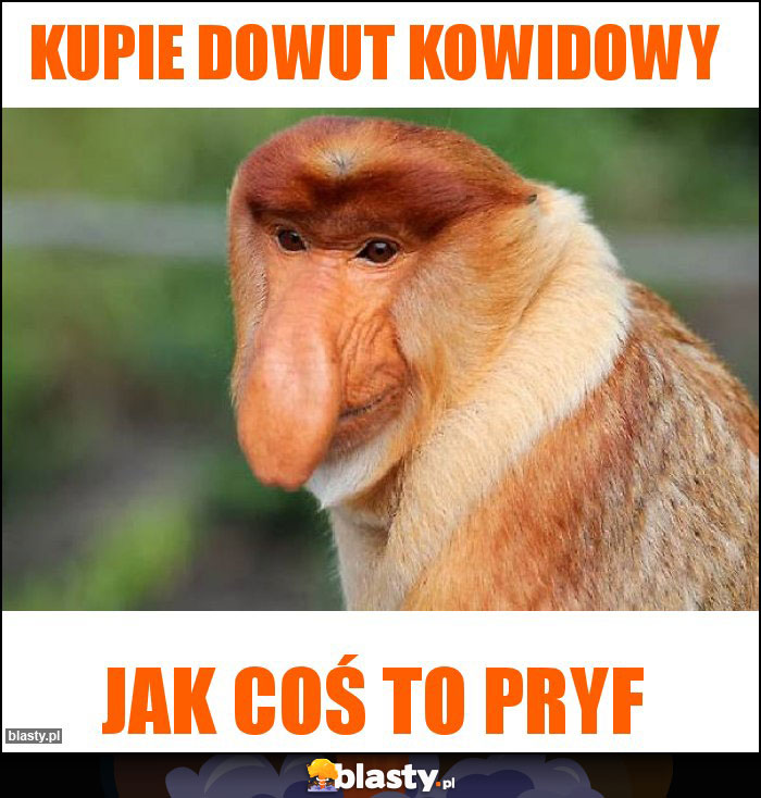 Kupie dowut kowidowy