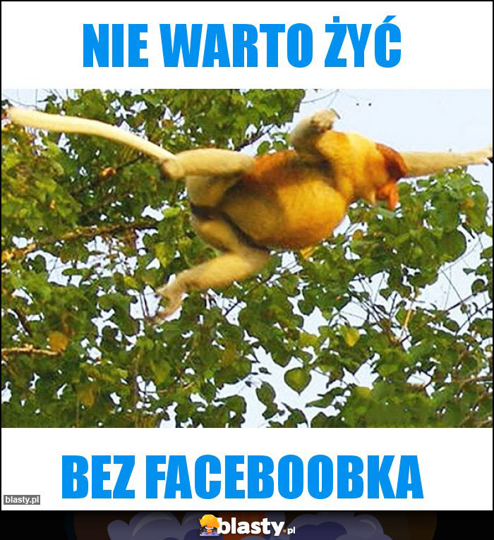 Nie warto żyć