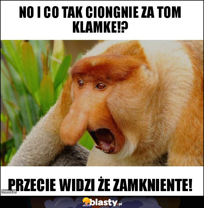 NO I CO TAK CIONGNIE ZA TOM KLAMKE!?