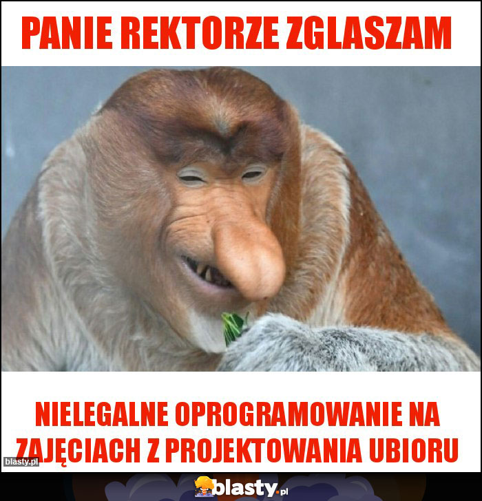 Panie rektorze zglaszam