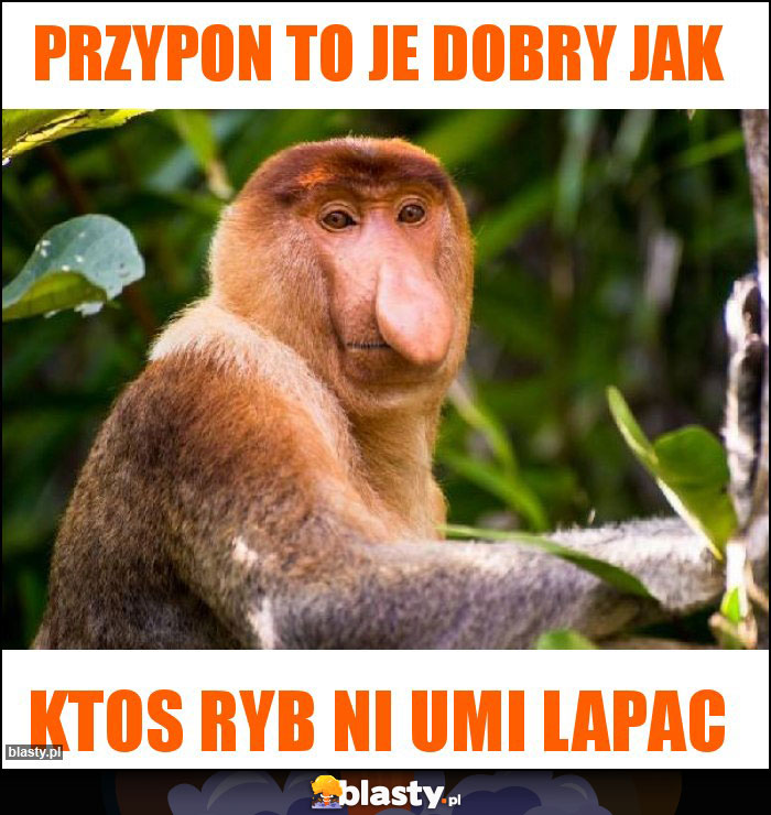 Przypon to je dobry jak