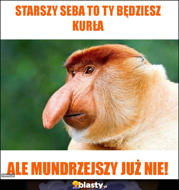 Starszy Seba to Ty będziesz kurła