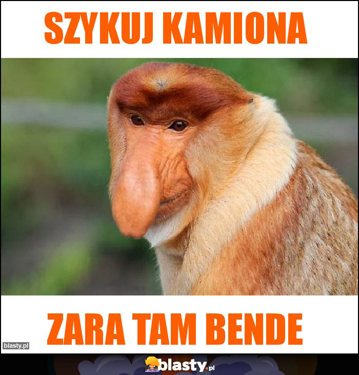 Szykuj kamiona