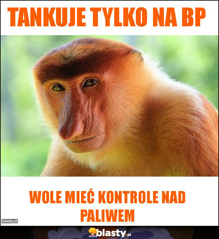 Tankuje tylko na BP