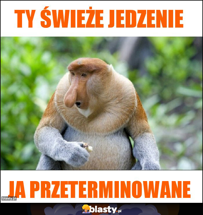 Ty świeże jedzenie