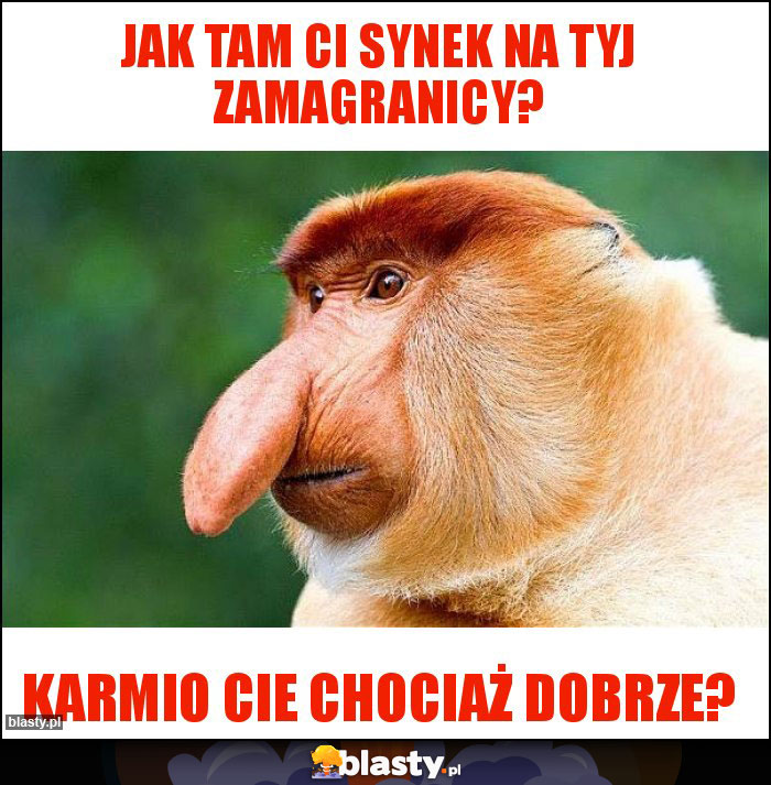 JAK TAM CI Synek na tyj zamagranicy?