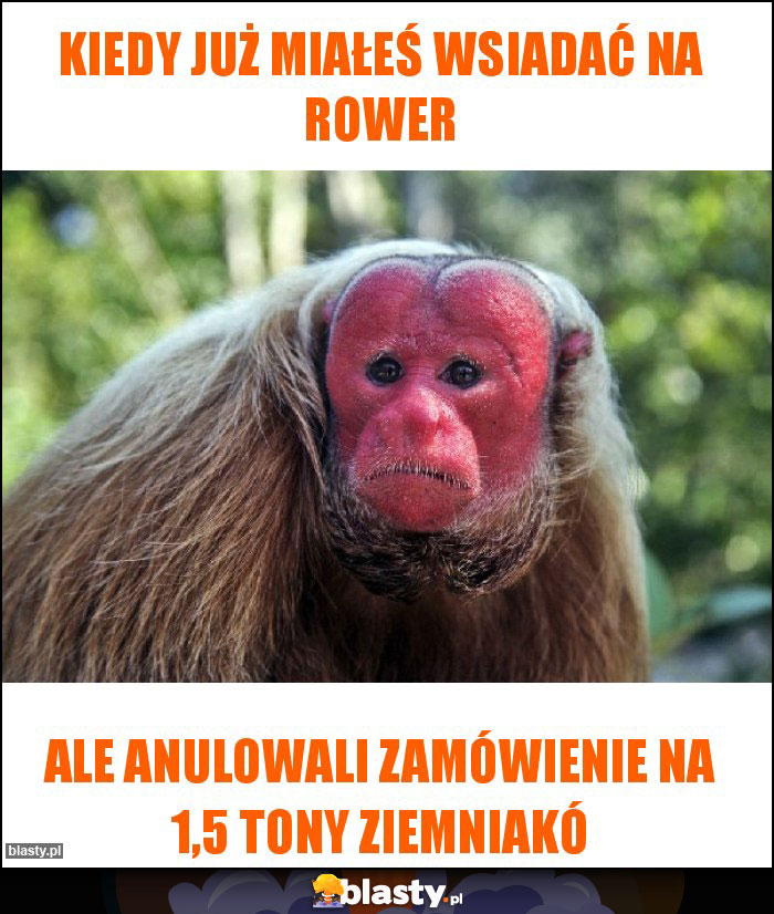 kiedy już miałeś wsiadać na rower