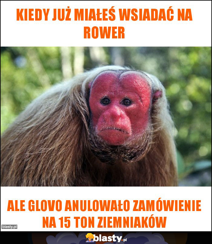 kiedy już miałeś wsiadać na rower