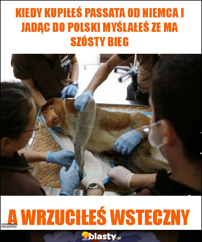 Kiedy kupiłeś Passata od niemca i jadąc do Polski myślałeś ze ma szósty bieg