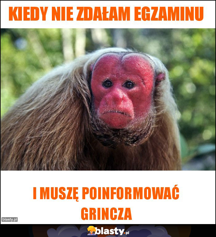 Kiedy nie zdałam egzaminu