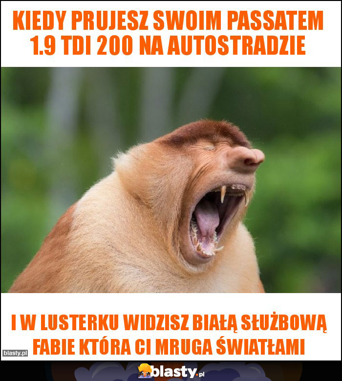 Kiedy prujesz swoim passatem 1.9 tdi 200 na autostradzie