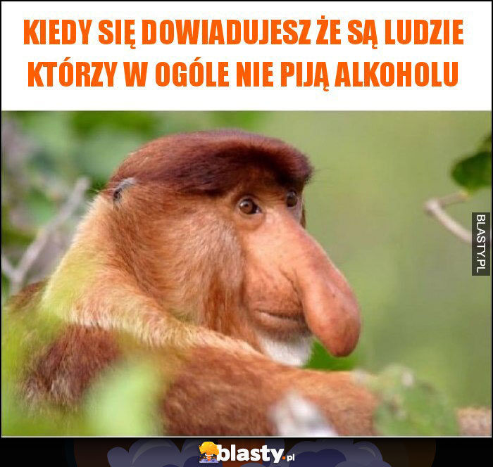 kiedy się dowiadujesz że są ludzie którzy w ogóle nie piją alkoholu