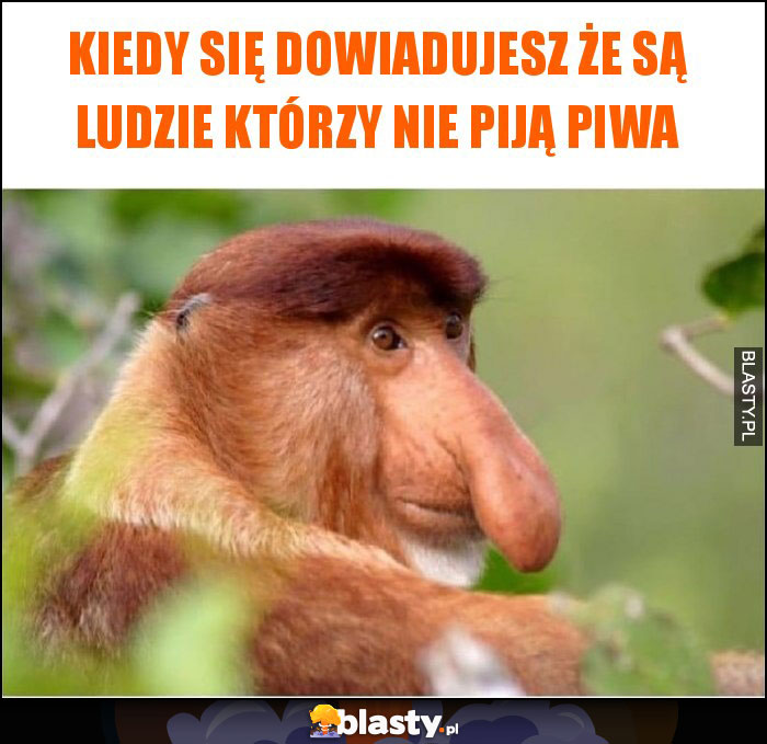 kiedy się dowiadujesz że są ludzie którzy nie piją piwa