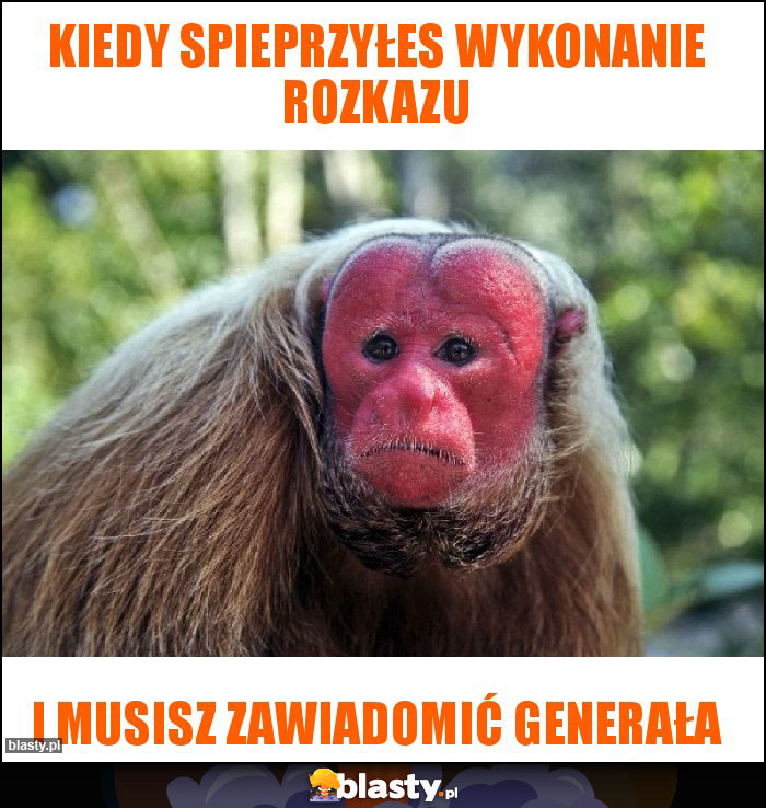 Kiedy spieprzyłes wykonanie rozkazu