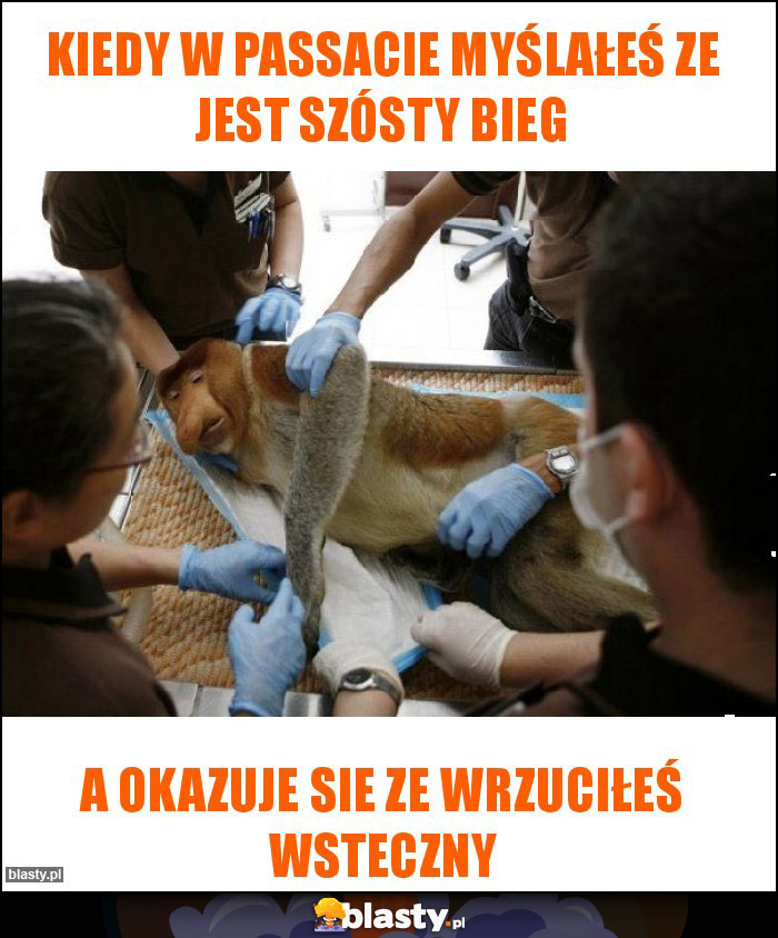 Kiedy w passacie myślałeś ze jest szósty bieg