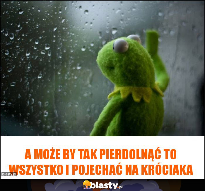 A może by tak pierdolnąć to wszystko i pojechać na króciaka