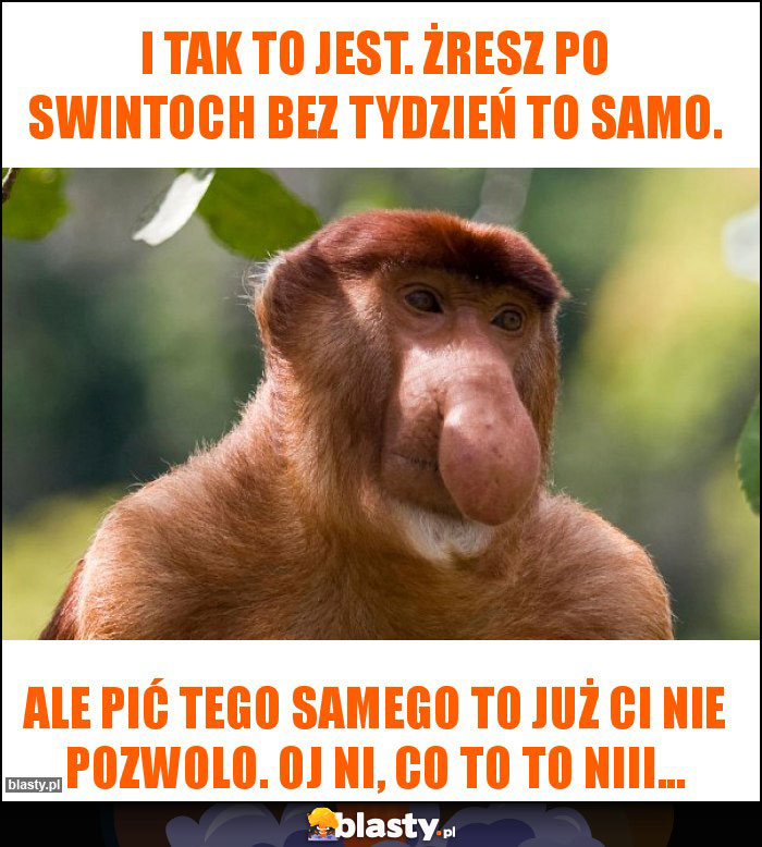 I tak to jest. Żresz po swintoch bez tydzień to samo.