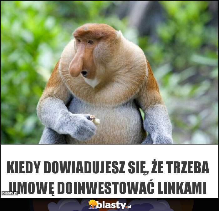 Kiedy dowiadujesz się, że trzeba umowę doinwestować linkami