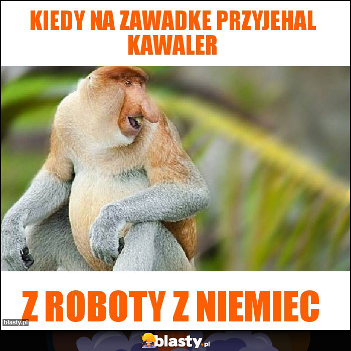 Kiedy na zawadke przyjehal kawaler