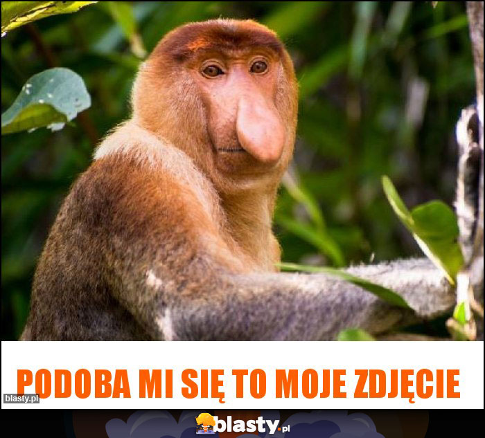 Podoba mi się to moje zdjęcie