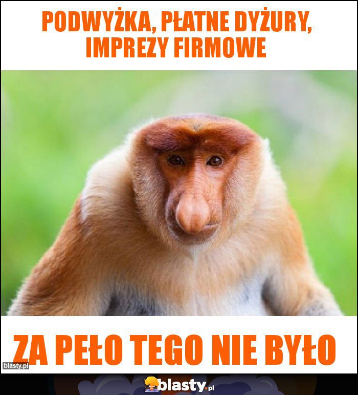 Podwyżka, płatne dyżury, imprezy firmowe