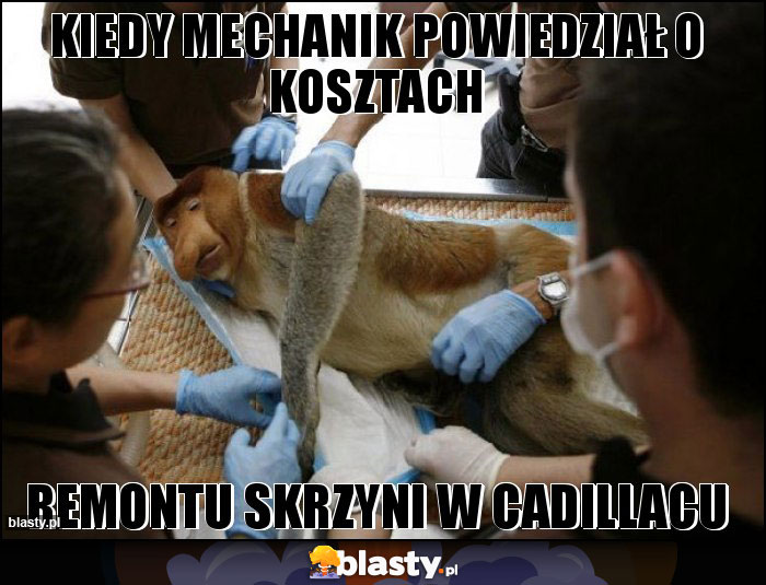 Kiedy mechanik powiedział o kosztach