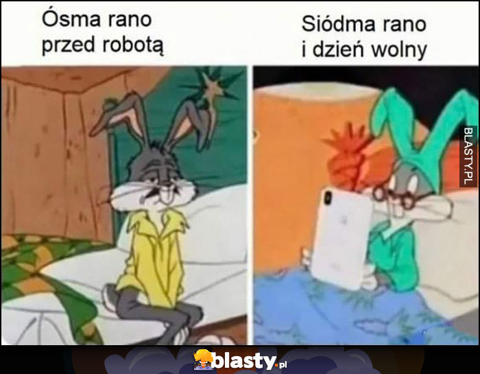 Ósma rano przed robotą nieprzytomny niewyspany vs siódma rano i dzień wolny Królik Bugs