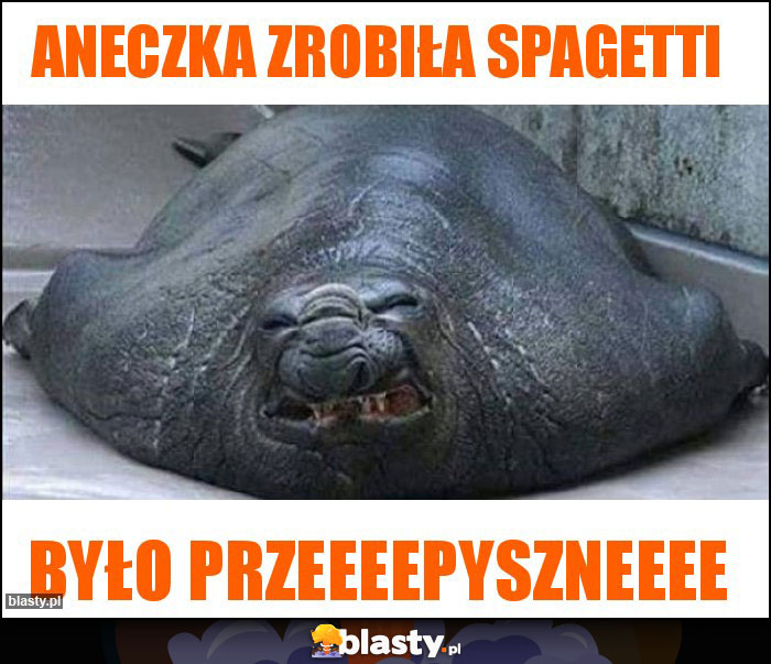 Aneczka zrobiła spagetti