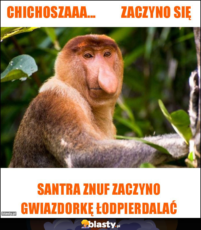 Chichoszaaa...          Zaczyno się