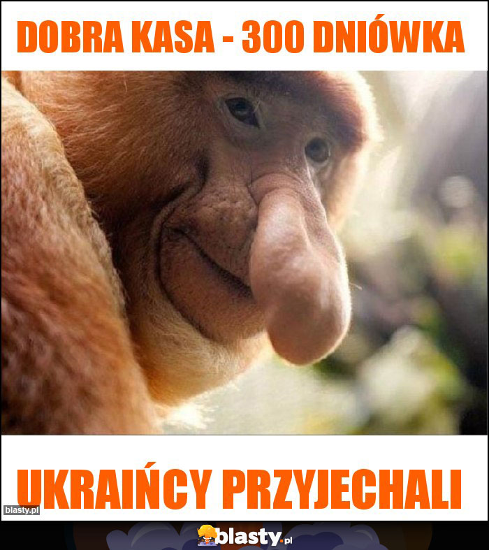 Dobra kasa - 300 dniówka