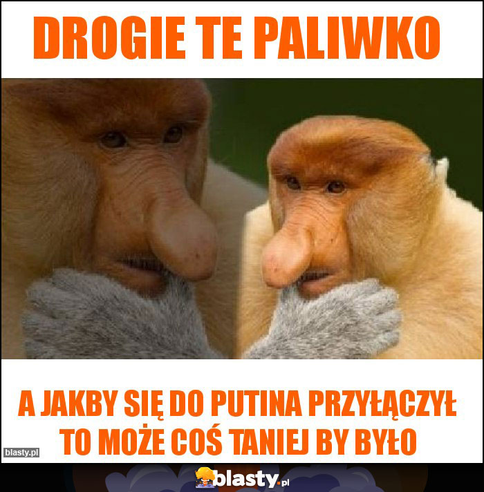 Drogie te paliwko