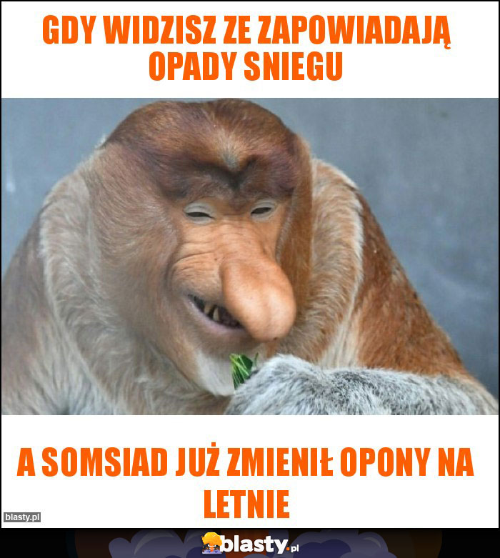 Gdy widzisz ze zapowiadają opady sniegu