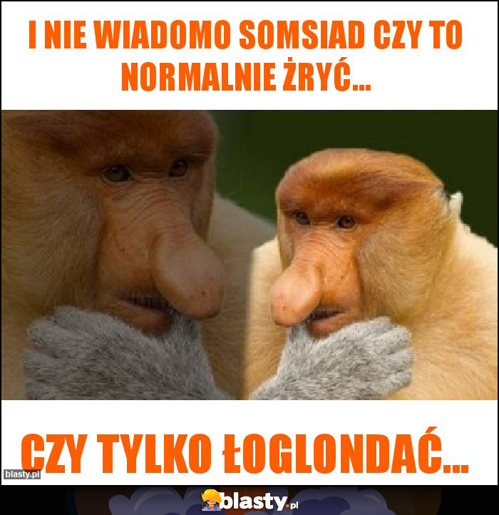 I nie wiadomo somsiad czy to normalnie żryć...