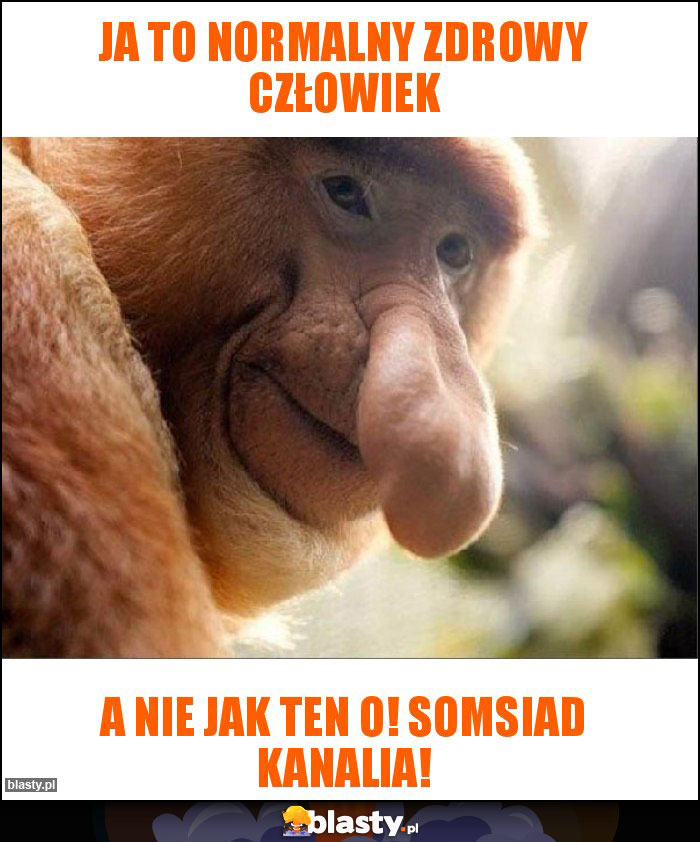 Ja to normalny zdrowy człowiek