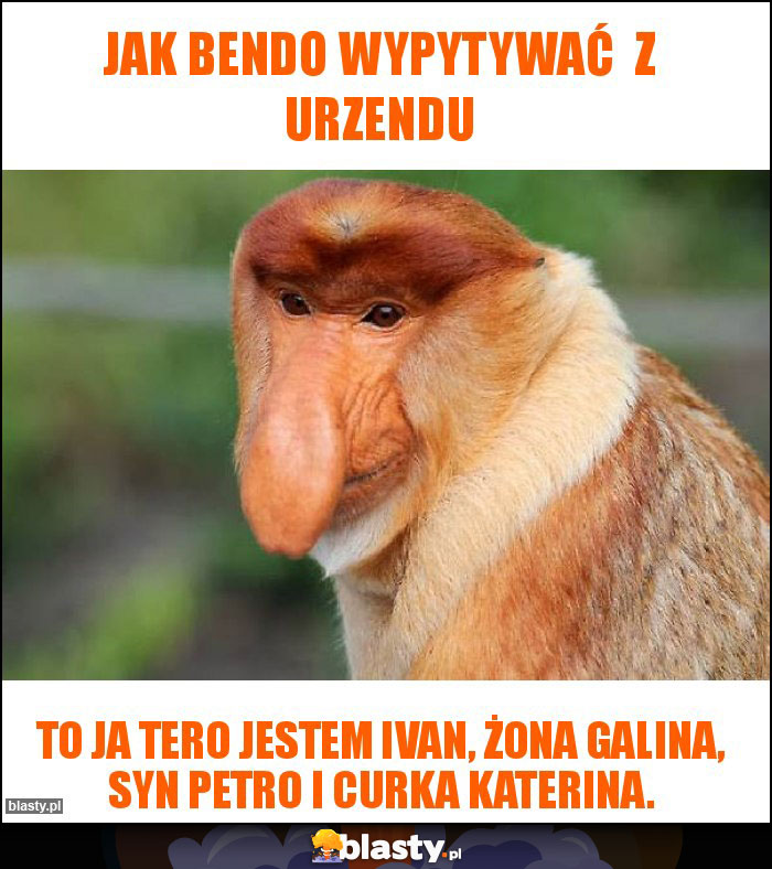 Jak bendo wypytywać  z urzendu