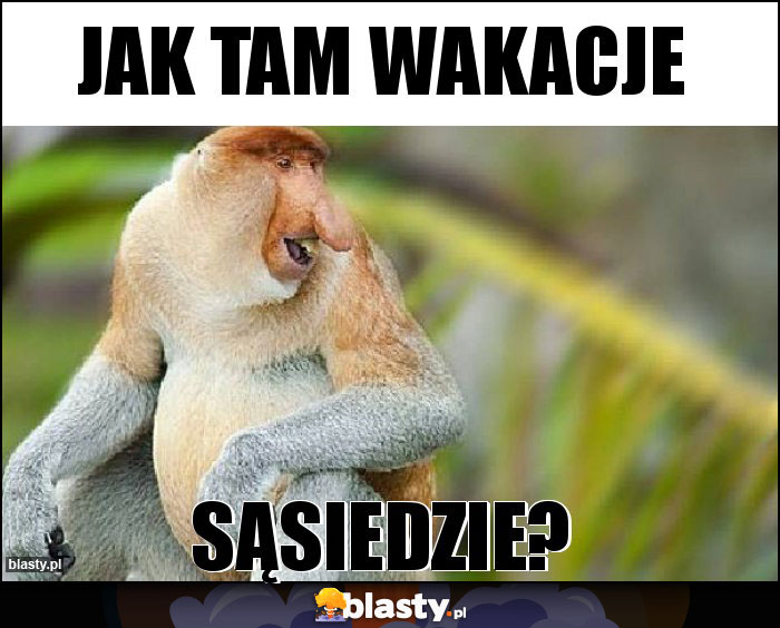 Jak tam wakacje