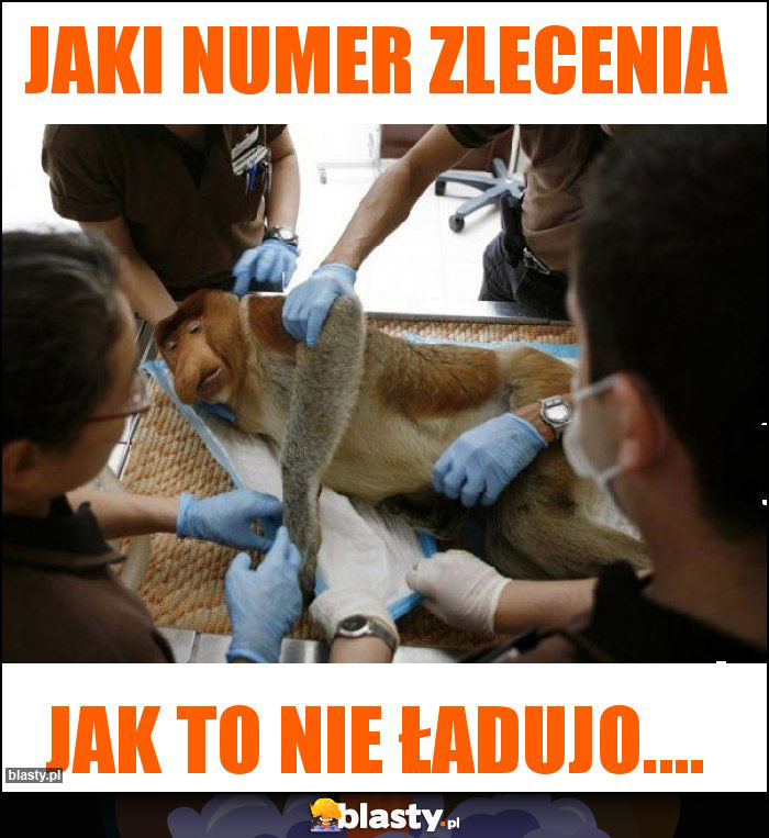 Jaki numer zlecenia