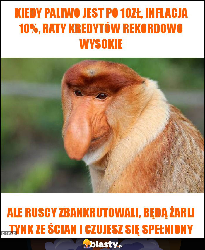 Kiedy paliwo jest po 10zł, inflacja 10%, raty kredytów rekordowo wysokie