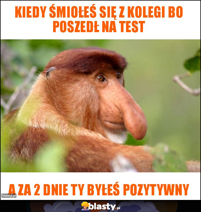 Kiedy śmiołeś się z kolegi bo poszedł na test