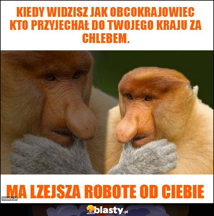 Kiedy widzisz jak obcokrajowiec kto przyjechał do Twojego kraju za chlebem.