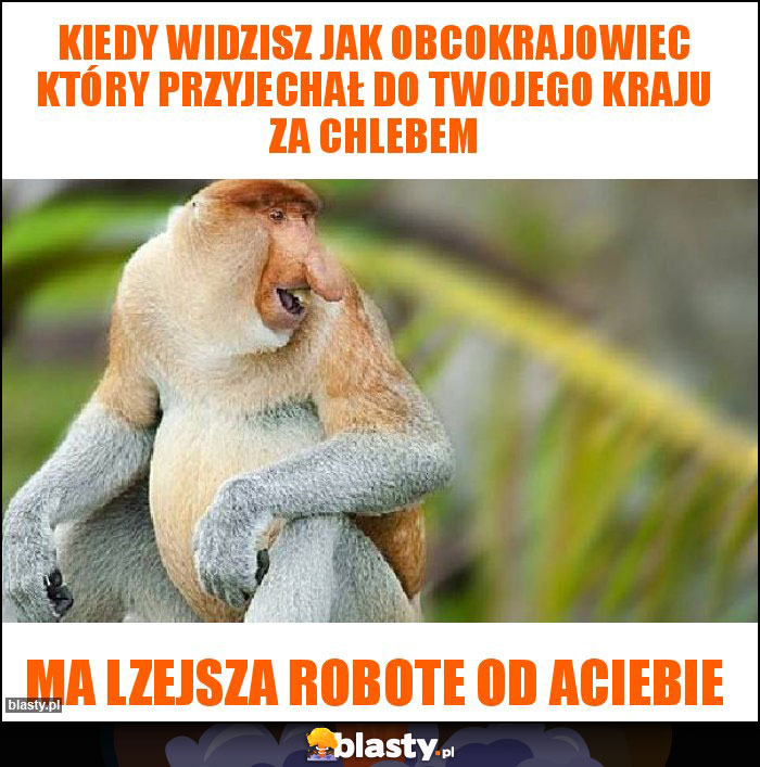 Kiedy widzisz jak obcokrajowiec który przyjechał do Twojego kraju za chlebem