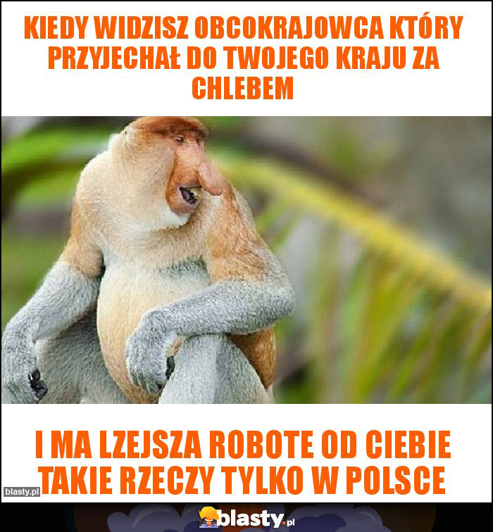 Kiedy widzisz obcokrajowca który przyjechał do twojego kraju za chlebem